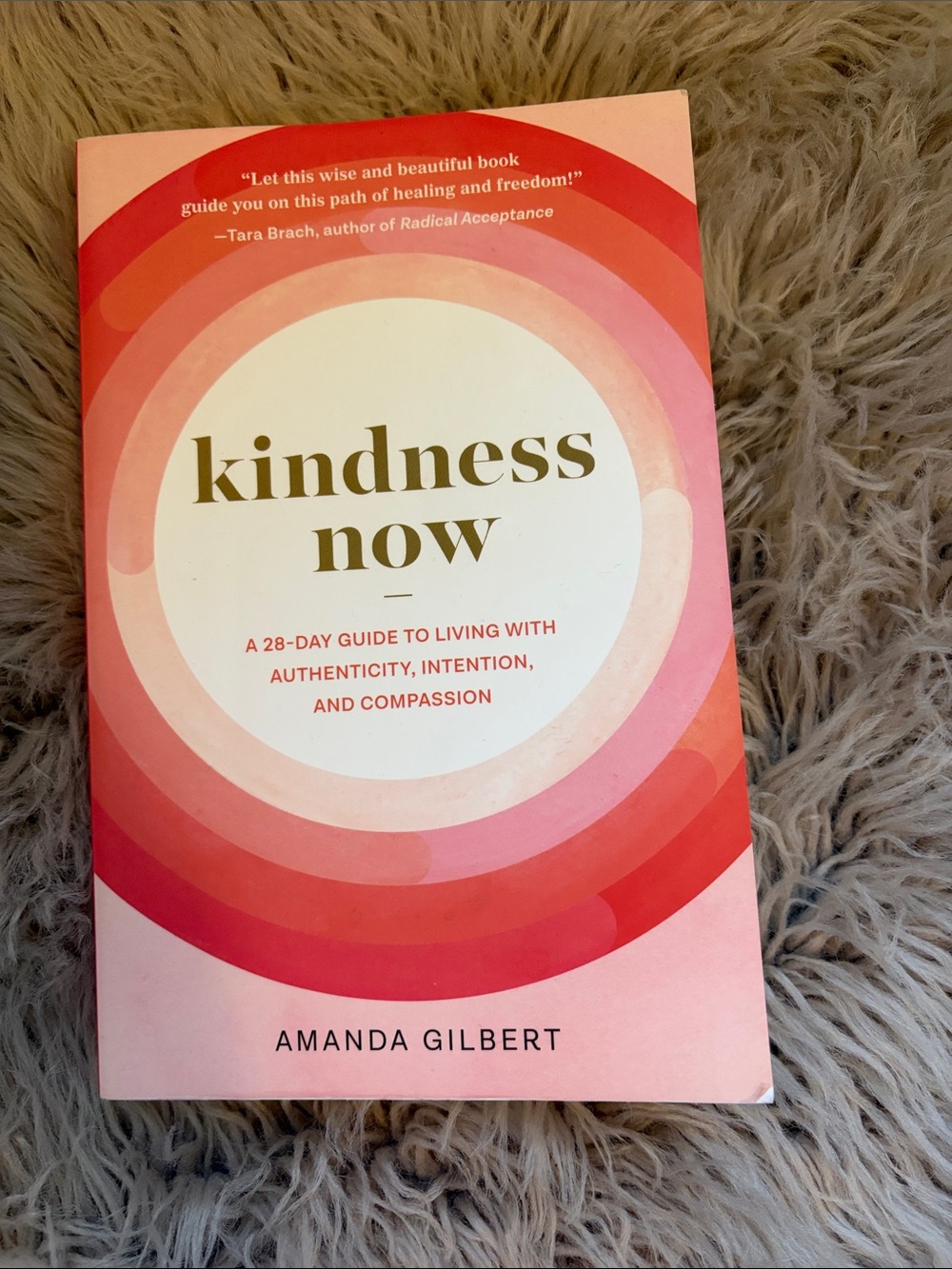 Kindness Now by Amanda Gilbert